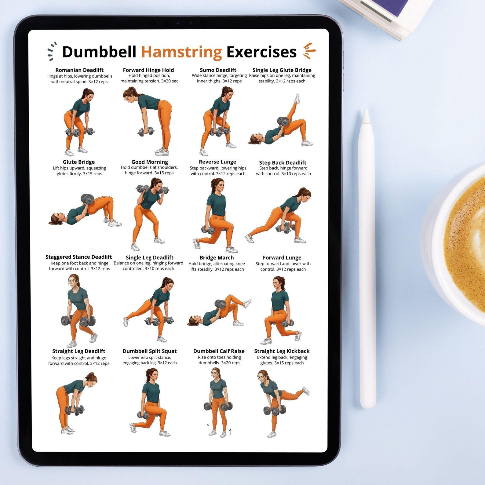 Dumbbell Hamstring Exercises Poster PDF, Hamstring Workout Chart ...