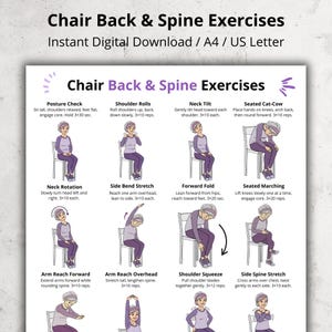 Può includere: Una guida stampabile intitolata "Chair Back & Spine Exercises" con illustrazioni di esercizi. Gli esercizi includono controllo della postura, rotazioni delle spalle, inclinazione del collo, gatto-mucca seduto e marcia seduta.