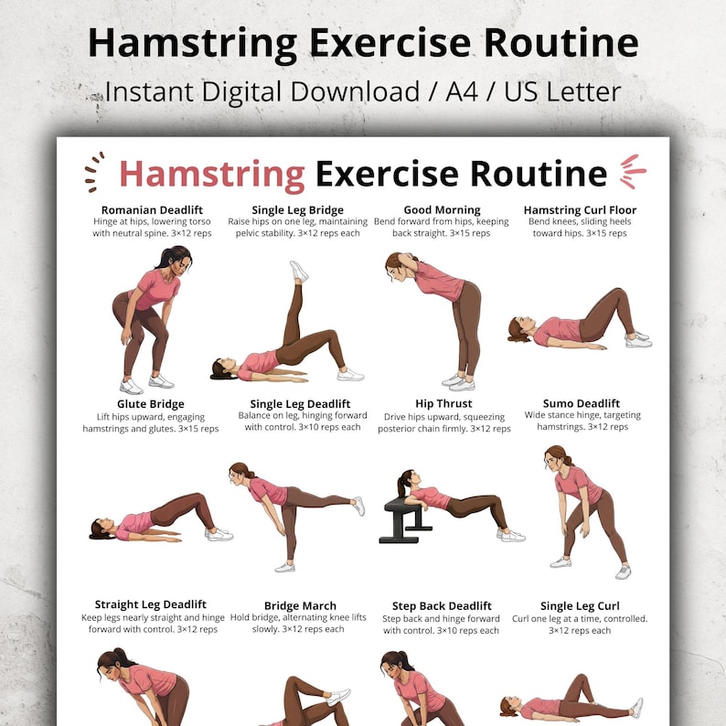 Puede incluir: Descarga digital titulada "Hamstring Exercise Routine" con ilustraciones de ejercicios. Los ejercicios incluyen Romanian Deadlift, Single Leg Bridge, Good Morning y Hamstring Curl Floor. Formato A4 y US Letter.