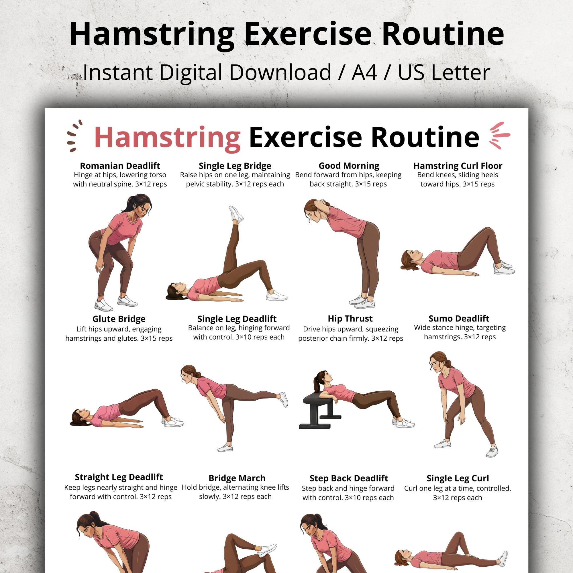 Hamstring Exercises, Hamstring Workout Chart Printable, Leg Day Lower ...