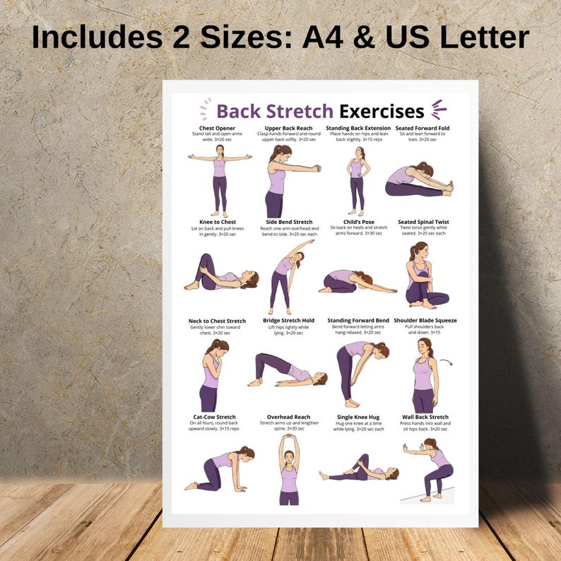 Back Stretch Exercises Chart, Upper & Lower Back Exercise Routine ...