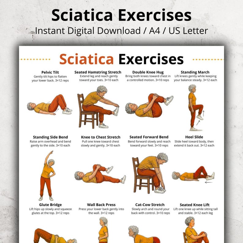 Sciatica Exercises Chart Printable, Lower Back Exercise Routine, Seated ...