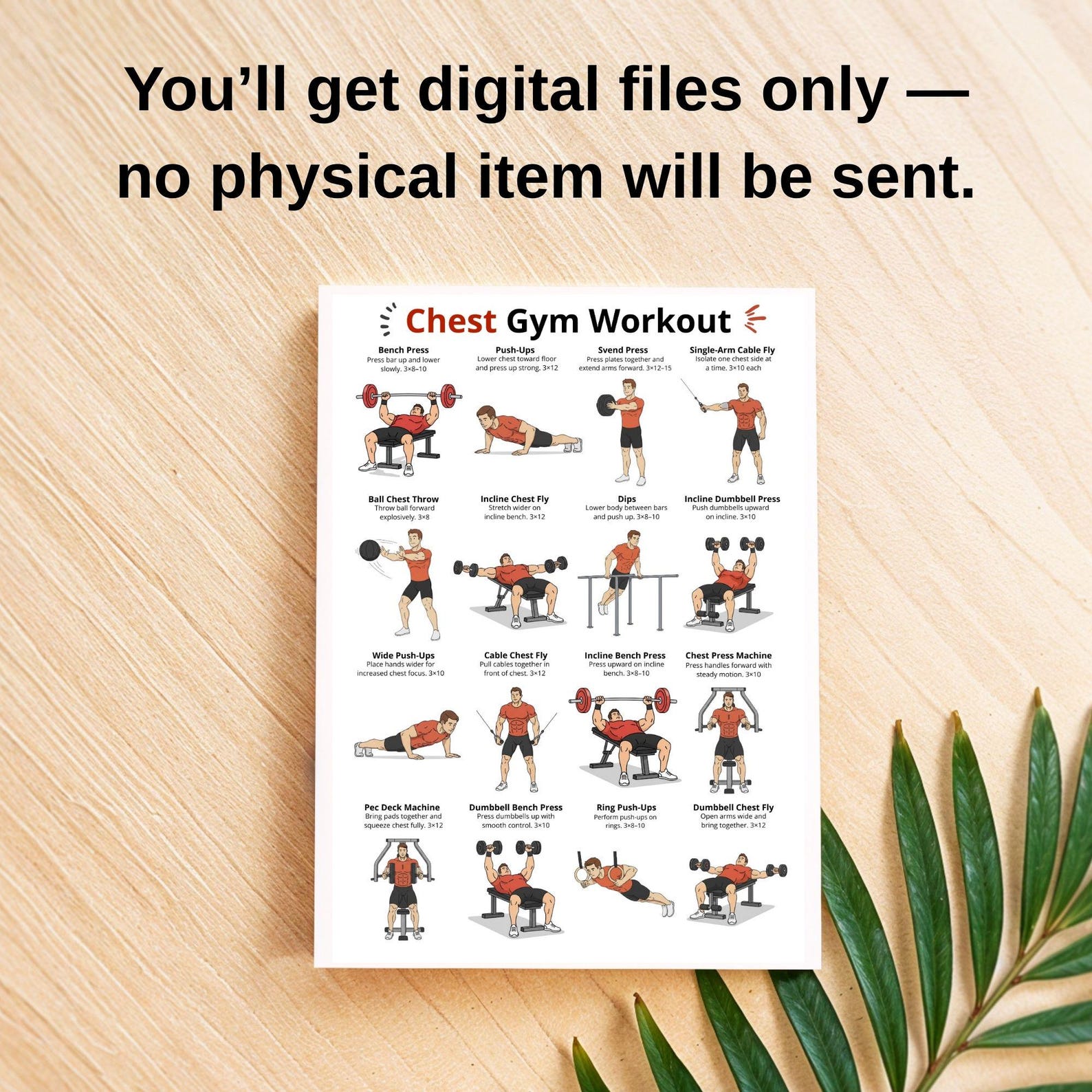 Chest Exercise Graph Chest Gym Workout Poster, Dumbbell & Bench Workout, Chest Exercises ...