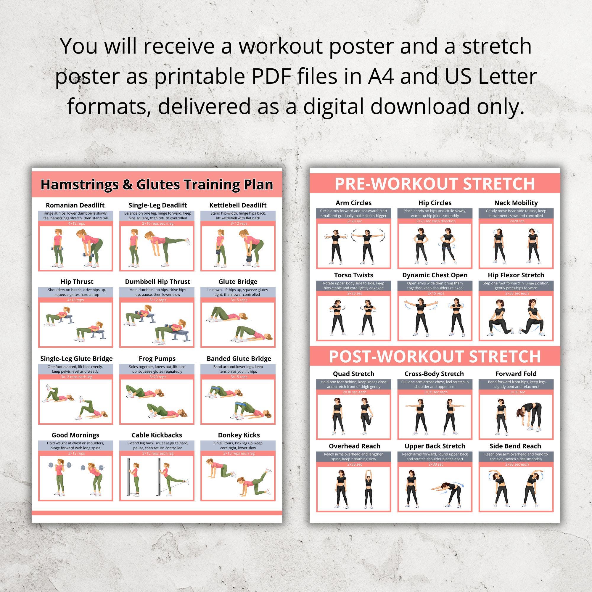 Hamstrings and Glutes Workout Poster PDF, Glute and Hamstring Gym ...