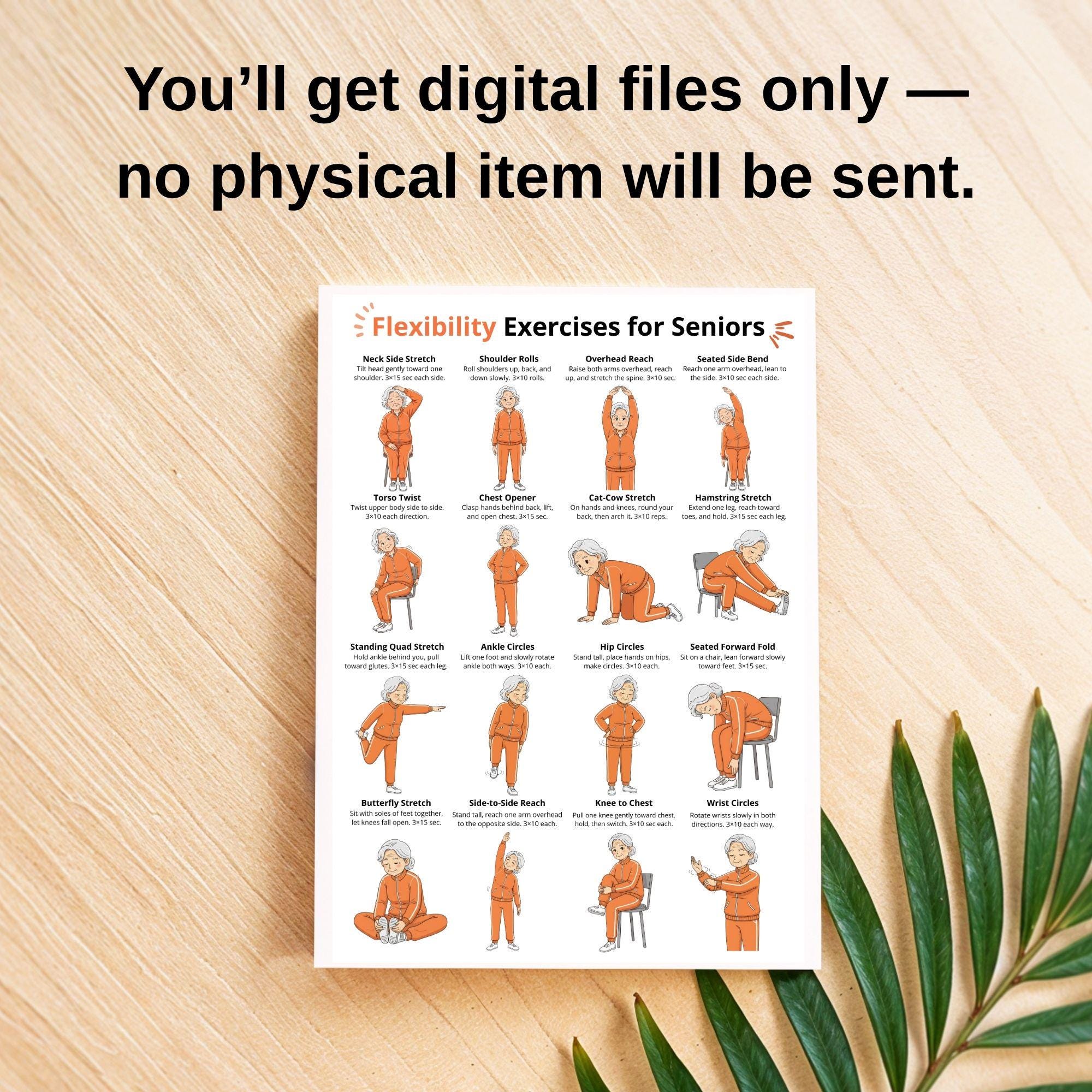 Flexibility Exercises for Seniors Printable | Gentle Stretching Chart ...