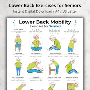 Lower Back Exercises for Seniors, Mobility Exercises Poster, Gentle Stretch Chart, Printable Low Impact Daily Workout PDF for Older Adults