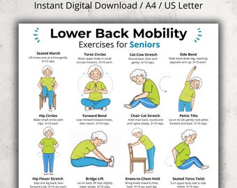 Lower Back Exercises for Seniors, Mobility Exercises Poster, Gentle Stretch Chart, Printable Low Impact Daily Workout PDF for Older Adults