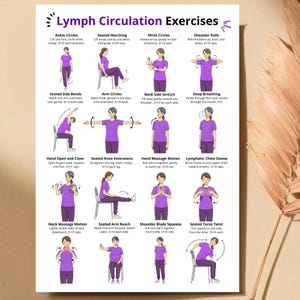 K&ouml;nnte beinhalten: Ein wei&szlig;es Poster mit dem Titel "Lymphzirkulations&uuml;bungen" und Illustrationen verschiedener &Uuml;bungen. Die &Uuml;bungen umfassen Fu&szlig;gelenkkreise, Sitzm&auml;rsche, Handgelenkkreise, Schulterrollen und mehr. Jede &Uuml;bung wird von einer Person in einem lila Hemd demonstriert.