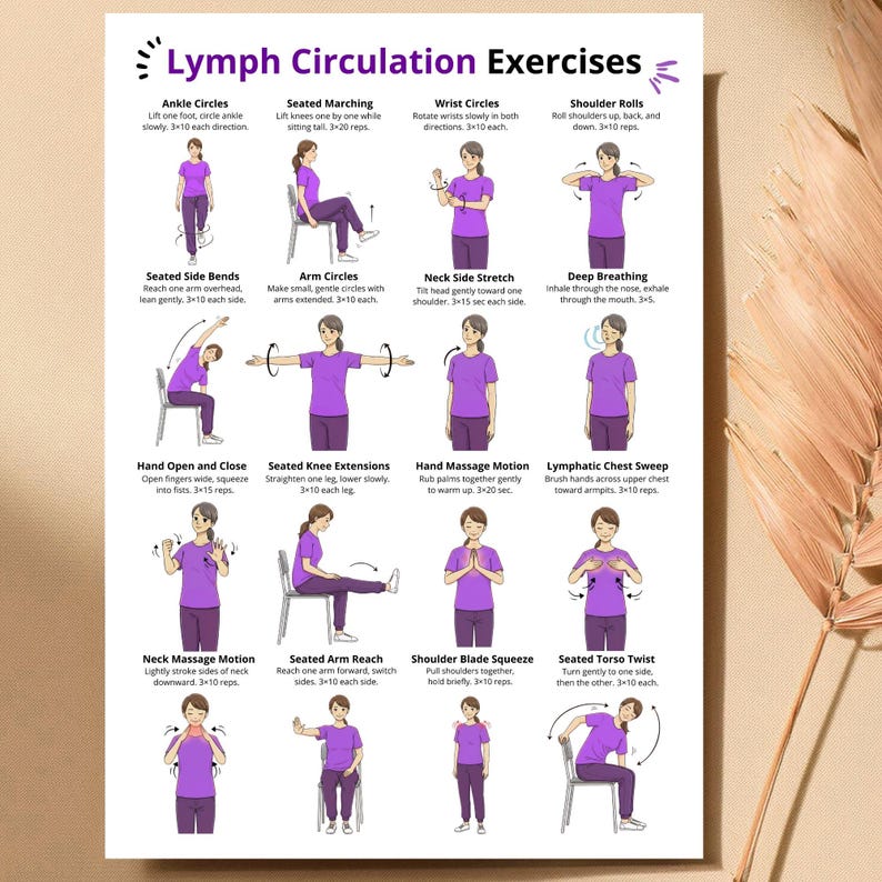 K&ouml;nnte beinhalten: Ein wei&szlig;es Poster mit dem Titel "Lymphzirkulations&uuml;bungen" und Illustrationen verschiedener &Uuml;bungen. Die &Uuml;bungen umfassen Fu&szlig;gelenkkreise, Sitzm&auml;rsche, Handgelenkkreise, Schulterrollen und mehr. Jede &Uuml;bung wird von einer Person in einem lila Hemd demonstriert.
