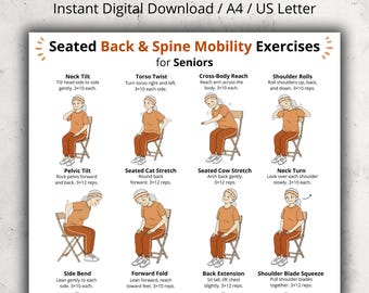 Seated Back & Spine Exercises for Seniors, Chair Stretch for Older Adults, Senior Chair Back Workout, Mobility and Flexibility Poster PDF