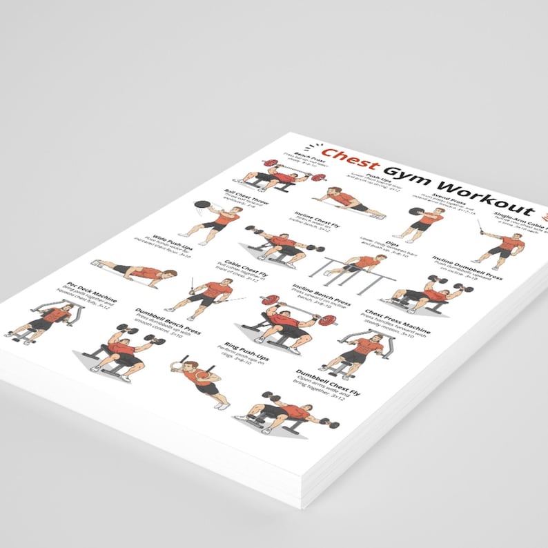 Chest Gym Workout Poster, Dumbbell & Bench Workout, Chest Exercises ...