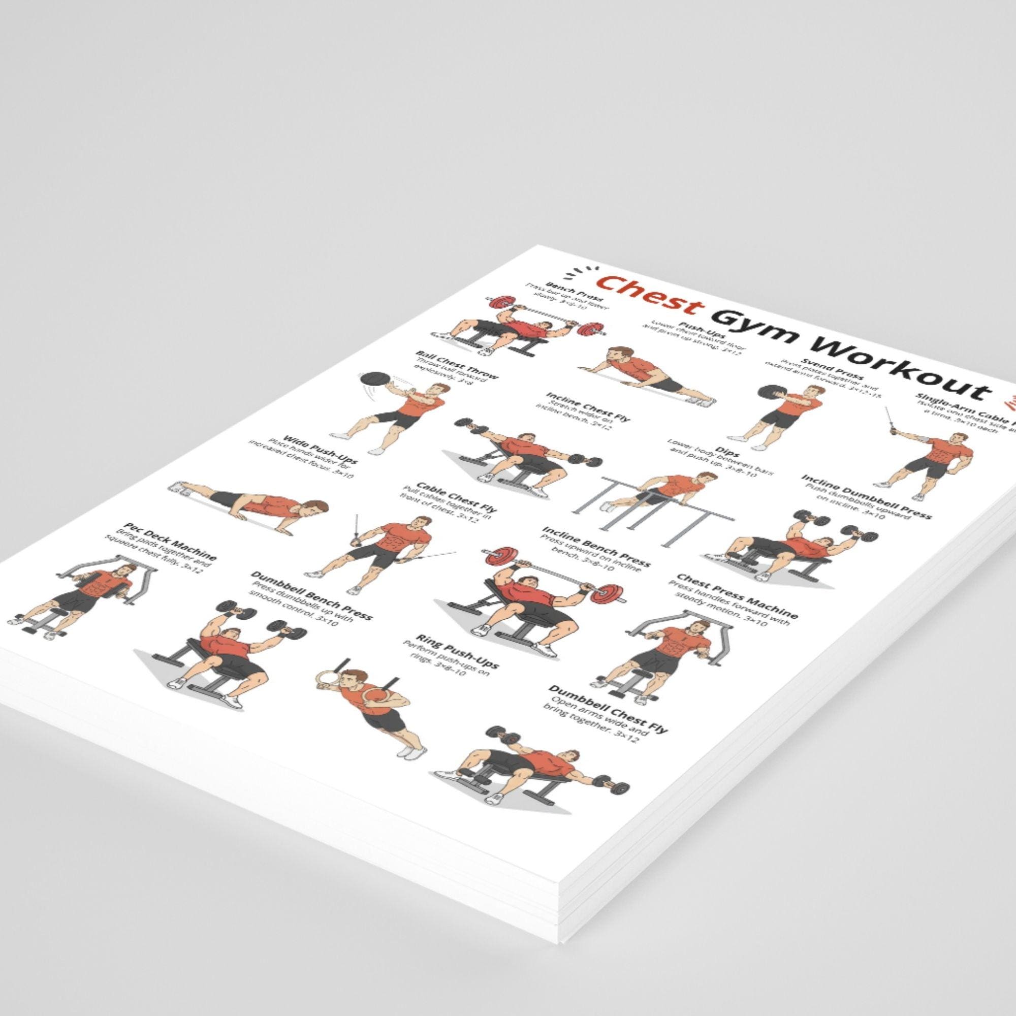 Chest Exercise Graph Chest Gym Workout Poster, Dumbbell & Bench Workout, Chest Exercises ...
