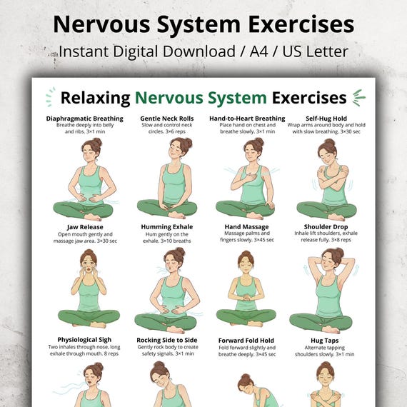 Nervous System Exercises Printable, Breathing Exercises at Home, Slow Breathing Exercises, Seated Breathing and Full Body Exercises Chart