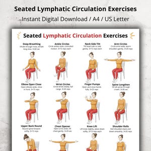 Puede incluir: Descarga digital titulada "Ejercicios de Circulación Linfática Sentados" en formato A4. El póster muestra ilustraciones de ejercicios como respiración profunda, círculos de tobillo, inclinación lateral del cuello y círculos de brazos, con instrucciones.