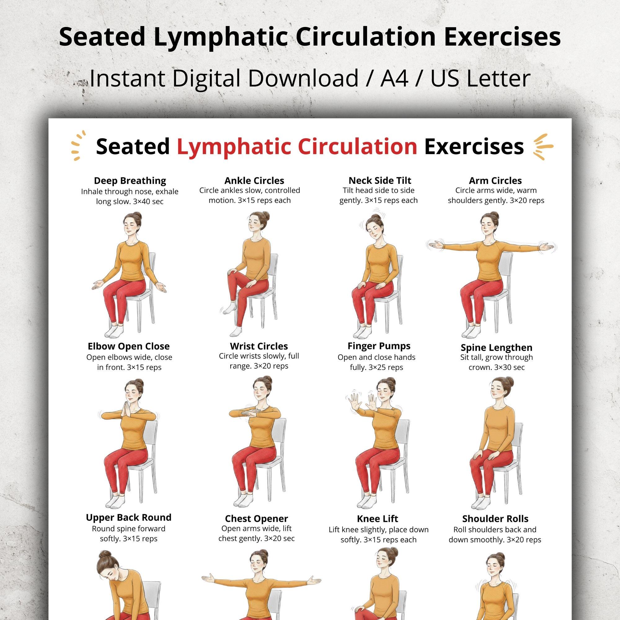 Lymphatic Exercise Routine For Men Seated Lymph Exercise Chart Poster PDF, Gentle Chair Full Body ...