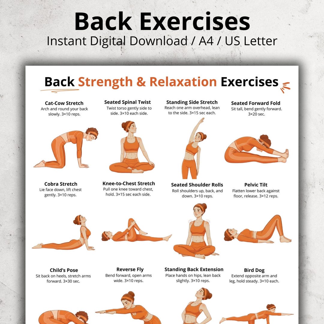 Back Exercises | Seated and Standing Back Exercise Poster | Upper and ...