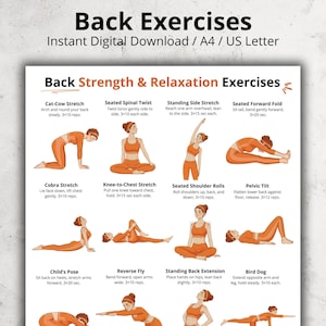 Back Exercises | Seated and Standing Back Exercise Poster | Upper and Lower Back Home Workout Printable Chart | Gentle No Equipment Exercise