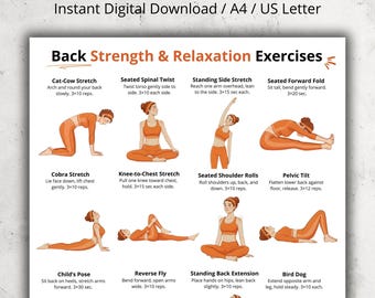 Back Exercises | Seated and Standing Back Exercise Poster | Upper and Lower Back Home Workout Printable Chart | Gentle No Equipment Exercise