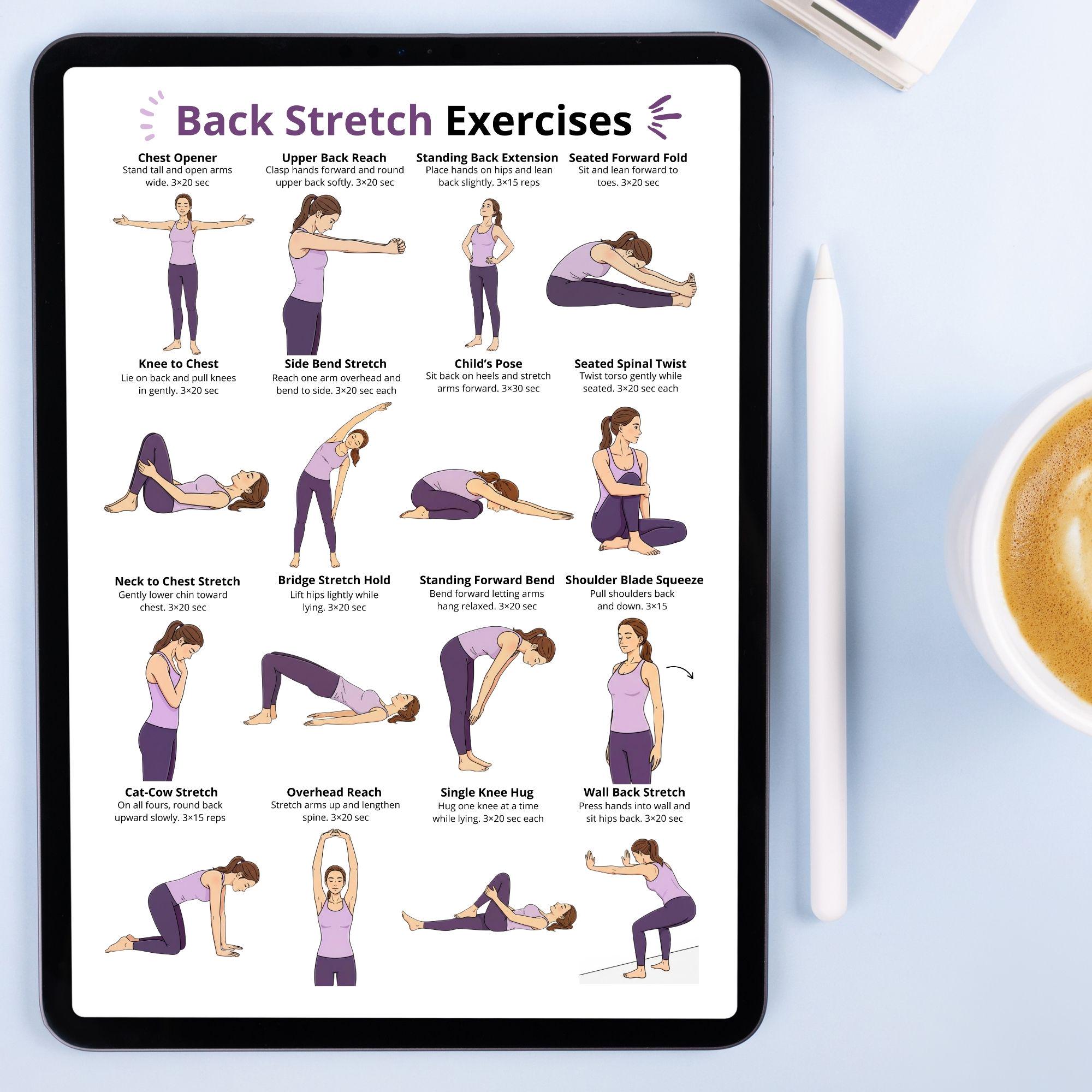 Back Stretch Exercises Chart, Upper & Lower Back Exercise Routine