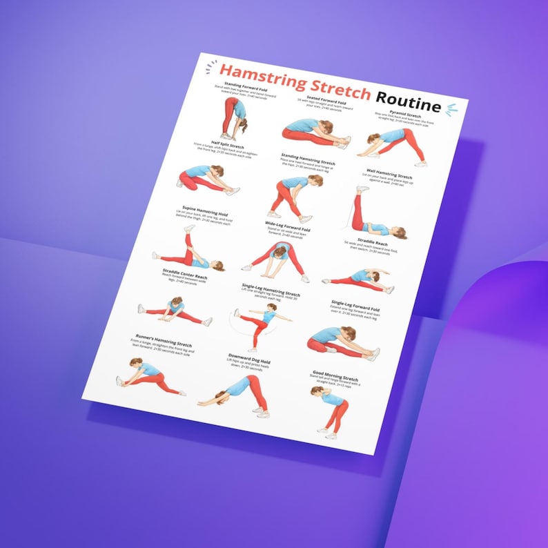 May include: A white poster titled "Hamstring Stretch Routine" with illustrations of various stretches. Each illustration shows a person in red and blue activewear demonstrating the stretch. The poster is angled against a purple background.