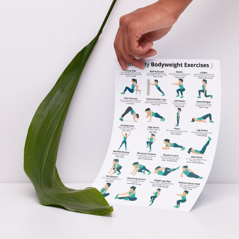 May include: A white poster titled "My Bodyweight Exercises" with illustrations of various exercises, including squats, lunges, and jumping jacks. A large green leaf is in the foreground.