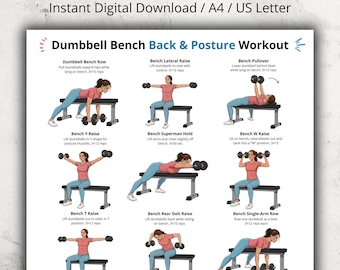 Dumbbell Bench Back & Posture Workout Poster – Seated Dumbbell Bench Exercises for Upper Back, Shoulders and Posture Printable for Home Gym
