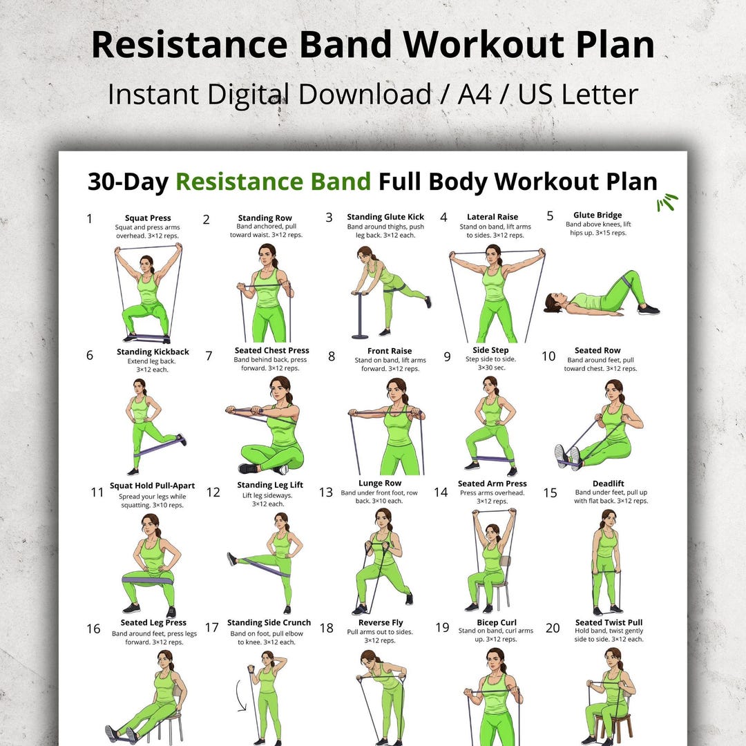 Lot De 3 Bandes De Résistance Desire Deluxe – Différents Niveaux, Pour Homme Et Femme, Fitness, Musculation, étirements, Portable Et Durable – Garanti 12 Mois