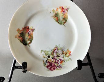 Vintage Floral Small Saucer, Royal Austria China, Antique China, Vintgage Dinnerware, Antique Housewares, Vintage Tableware