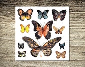 Butterfly Kisses III Print