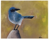 Scrub Jay Oil Art Print: Bird on a Rock Nature Scene