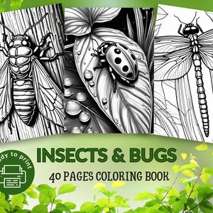 Op de afbeelding: Een kleurboekcover met insectenillustraties: een cicade, een lieveheersbeestje en een libelle. De tekst "INSECTS & BUGS" en "40 PAGES COLORING BOOK" worden weergegeven. Er is ook een groen "Ready to print"-pictogram.