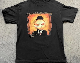1993 Counting Crows Band Tour T-shirt - Etsy