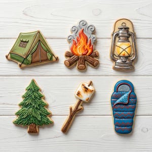 May include: A collection of camping-themed cookies, including a green tent, a campfire with orange flames, a vintage lantern, a pine tree, a marshmallow on a stick, and a blue sleeping bag. The cookies are decorated with detailed icing.