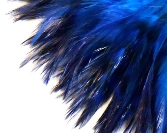 Blue Dyed Chinchilla Rooster Saddle Feathers. 3 Inch Feather Length. 2 Inch Pre-strung Strip. Jewelry Making Supplies for DIY Crafts.