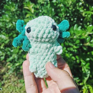 Axolotl Crochet plushie, Crochet plush, Green Axolotl, Gift for kids, Crochet, Birthday gift, Cute Plush, Fluffy, Plushie