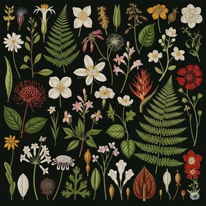 Botanical Print Wall Art