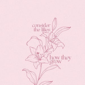 Peut inclure: Illustration rose avec un dessin au trait de lis et le texte "considérez les lis, comment ils croissent" et "Luc 12:27". L'image présente des fleurs de lis sur un fond rose.
