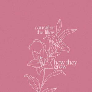 May include: A pink background with a white line drawing of lilies. The text "consider the lilies" and "how they grow" is above the flowers. The text "LUKE 12:27" is at the bottom.