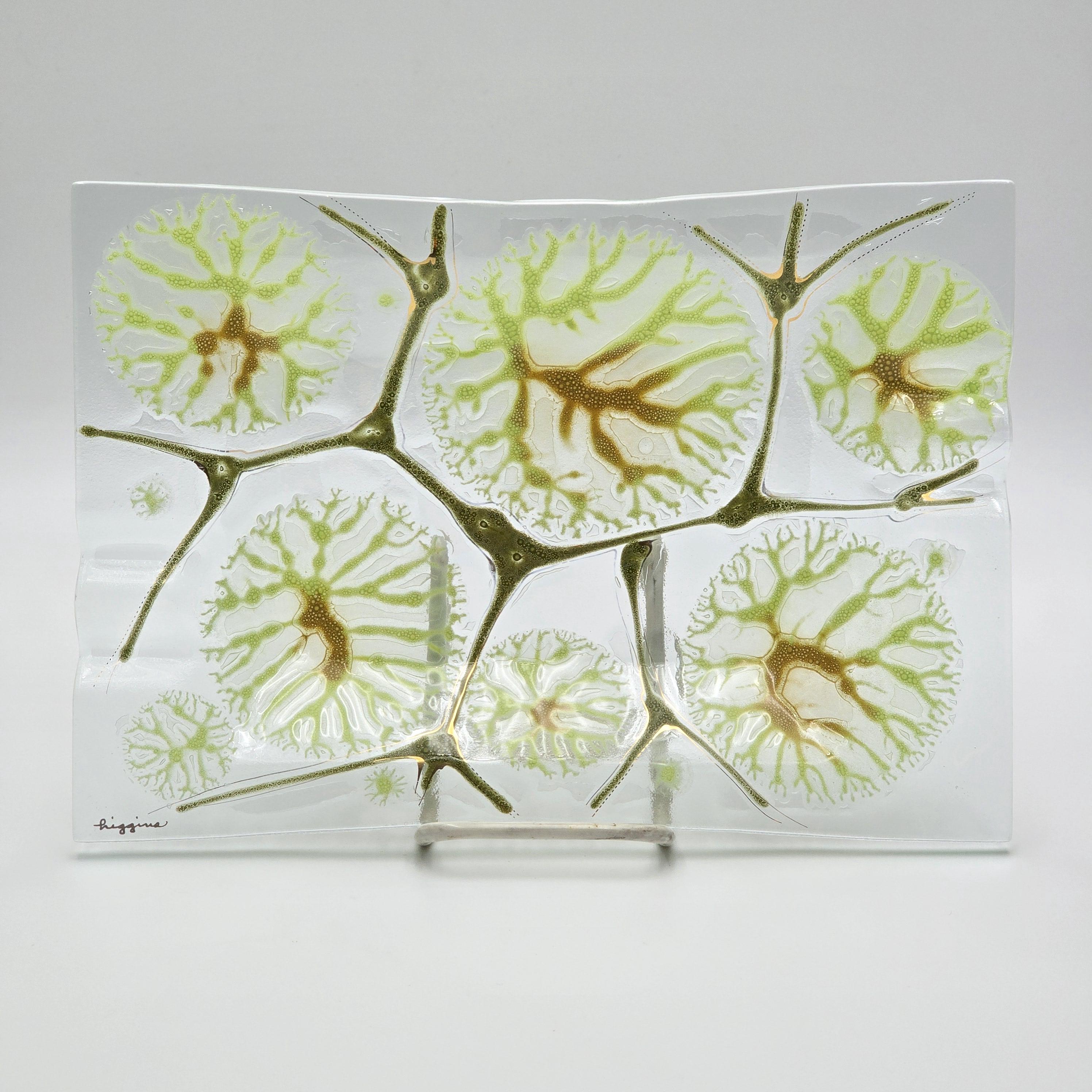 Vintage Higgins Glass - Etsy