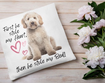 Golden Doodle stole my heart PNG JPG