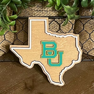 Texas College Magnet, Texas refrigerator magnet, Graduation gift, College pride, College dorm, College alumni gift, Custom college decor