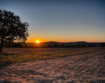 Digital Download - Morning Sunrise, Golden Hour Landscape Photography