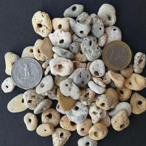 Könnte beinhalten: Eine Ansammlung kleiner, verwitterter Steine in Beige-, Grau- und Brauntönen, viele mit natürlichen Löchern. Ein US-Vierteldollar und eine Euro-Münze dienen als Größenvergleich, vor dunklem Hintergrund.