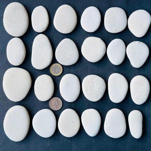 May include: An assortment of smooth, white, oval-shaped stones arranged on a dark surface. A Euro coin and a British coin are included for size comparison. The stones vary slightly in size and shape, with a matte finish.