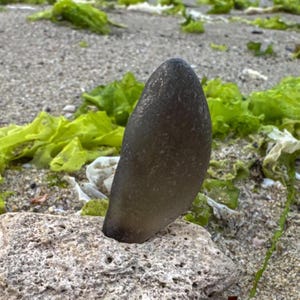 Peut inclure: Une pierre lisse en forme de goutte d'eau, de couleur gris foncé, dressée verticalement et encastrée dans une roche plus grande, poreuse et gris clair. La surface de la pierre est mate, tandis que la base présente une texture rugueuse.