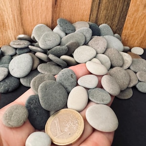 May include: A collection of smooth, gray river stones in various sizes and shades, from light beige to dark gray. A one Euro coin is included for size reference. The stones are held in a hand, with a wooden background.