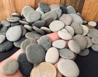 Op de afbeelding: Een verzameling gladde, grijze rivierstenen in verschillende maten en tinten, van lichtbeige tot donkergrijs. Een munt van één euro is inbegrepen ter referentie. De stenen worden in een hand gehouden, met een houten achtergrond.