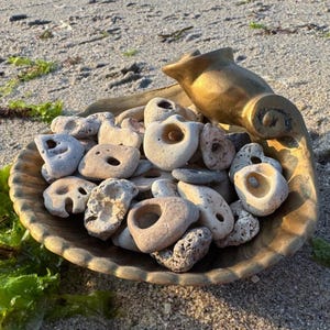 Peut inclure: Un bol en métal doré en forme de coquillage, rempli d'une collection de petits galets de plage clairs. Plusieurs pierres présentent des trous naturels, créant un assortiment texturé et varié de formes lisses, poreuses et irrégulières.