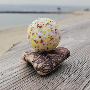 Rare Large 1&quot; Sea Marble Confetti Pattern + Unique Beach Stone Display | Genuine Surf Tumbled Marble | Collector Coastal Décor