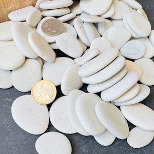 Op de afbeelding: Een verzameling gladde, witte rivierstenen in verschillende maten. Een munt van 1 euro en een kwart dollar zijn inbegrepen ter vergelijking. De stenen zijn ovaal en plat, met een natuurlijke afwerking. Ideaal voor knutselen of decoratie.